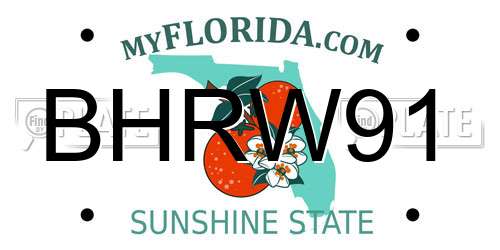 BHRW91 Florida License Plate