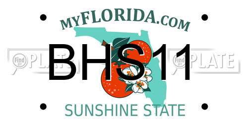BHS11 Florida License Plate