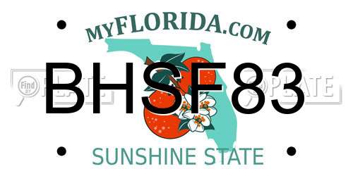 BHSF83 Florida License Plate