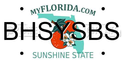 BHSYSBS Florida License Plate