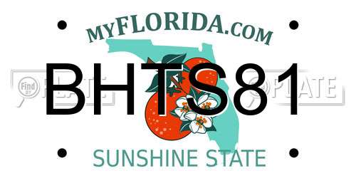 BHTS81 Florida License Plate