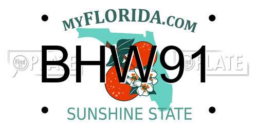 BHW91 Florida License Plate