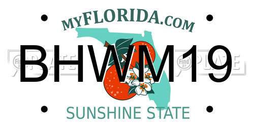 BHWM19 Florida License Plate