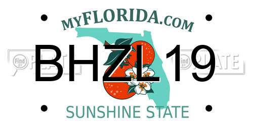BHZL19 Florida License Plate