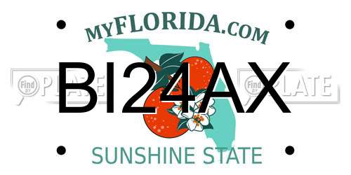 BI24AX Florida License Plate