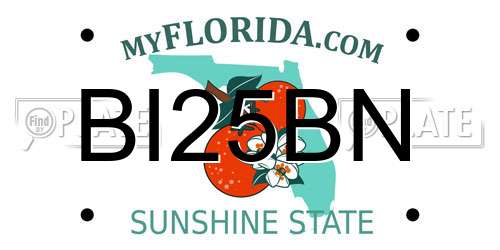 BI25BN Florida License Plate