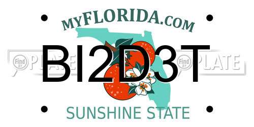 BI2D3T Florida License Plate