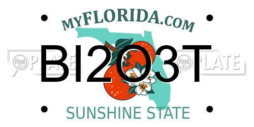 BI2O3T Florida License Plate