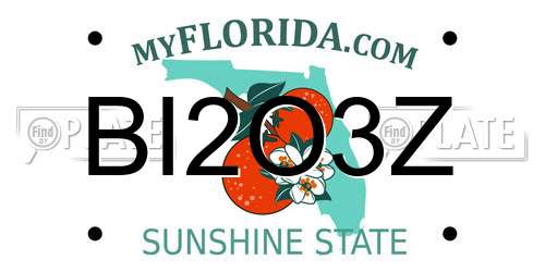 BI2O3Z Florida License Plate