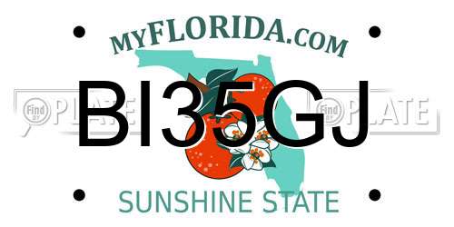 BI35GJ Florida License Plate