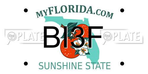 BI3F Florida License Plate