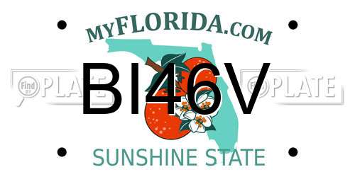 BI46V Florida License Plate