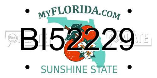 BI52229 Florida License Plate