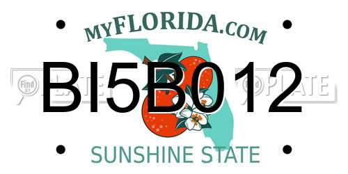 BI5B012 Florida License Plate