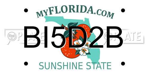 BI5D2B Florida License Plate