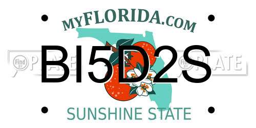 BI5D2S Florida License Plate