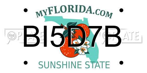 BI5D7B Florida License Plate
