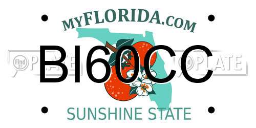 BI60CC Florida License Plate