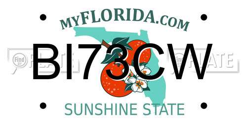 BI73CW Florida License Plate