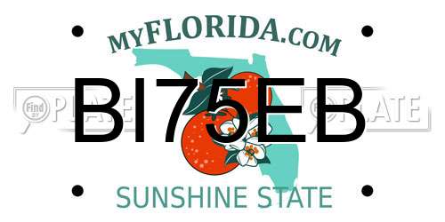 BI75EB Florida License Plate