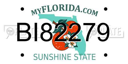 BI82279 Florida License Plate