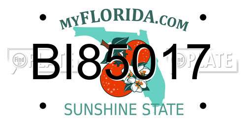 BI85017 Florida License Plate
