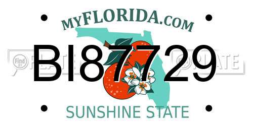 BI87729 Florida License Plate