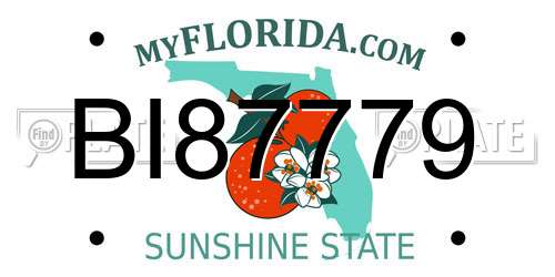 BI87779 Florida License Plate