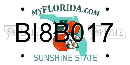 BI8B017 Florida License Plate