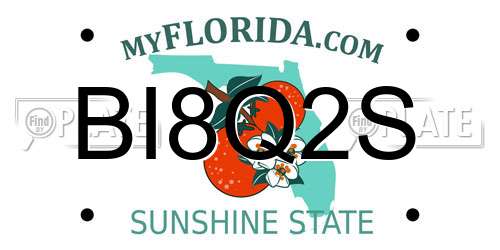 BI8Q2S Florida License Plate
