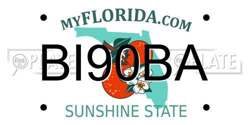 BI90BA Florida License Plate