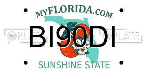 BI90DI Florida License Plate
