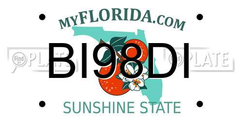 BI98DI Florida License Plate