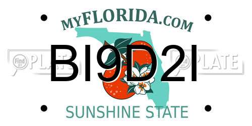 BI9D2I Florida License Plate
