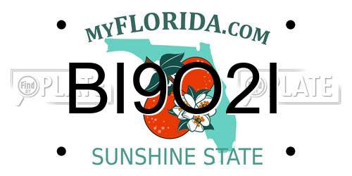 BI9O2I Florida License Plate