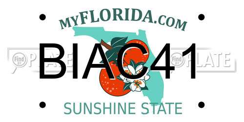 BIAC41 Florida License Plate