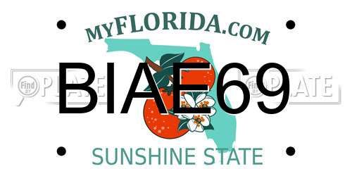 BIAE69 Florida License Plate