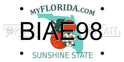 BIAE98 Florida License Plate