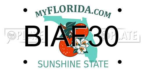 BIAF30 Florida License Plate