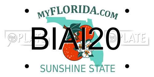 BIAI20 Florida License Plate