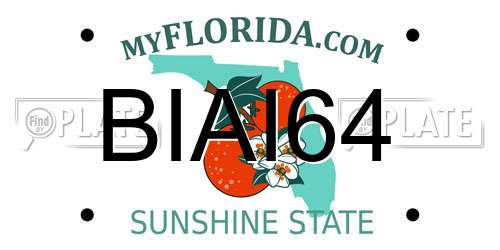 BIAI64 Florida License Plate