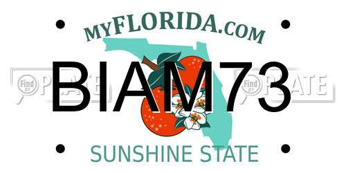 BIAM73 Florida License Plate