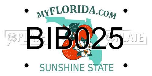 BIB025 Florida License Plate