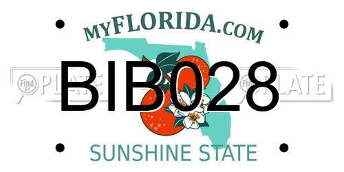 BIB028 Florida License Plate
