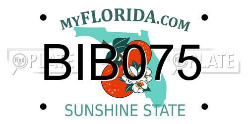 BIB075 Florida License Plate