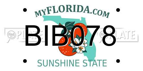BIB078 Florida License Plate