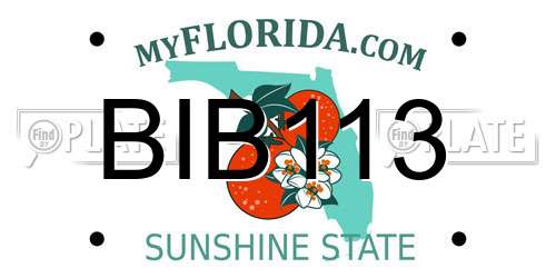 BIB113 Florida License Plate