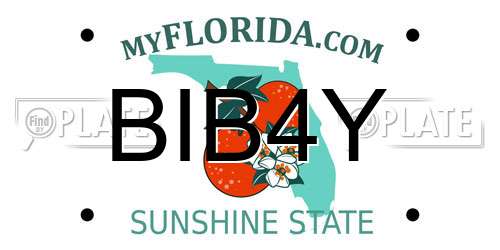 BIB4Y Florida License Plate