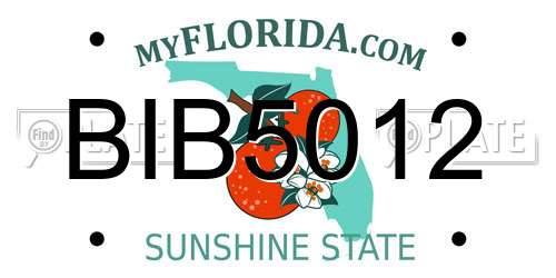 BIB5012 Florida License Plate