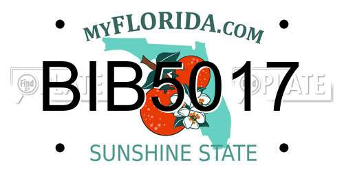 BIB5017 Florida License Plate